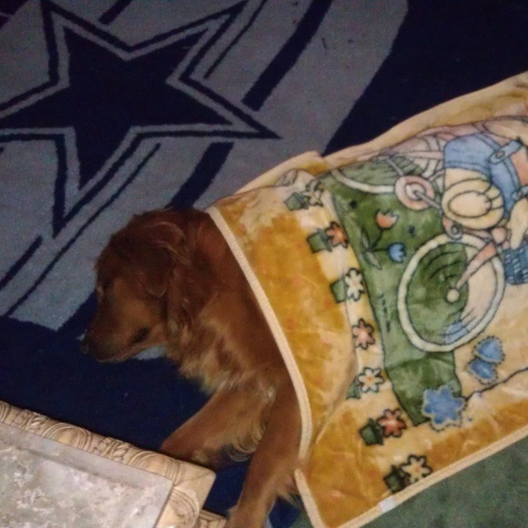 Meet your Posher Athena Rose - Picture 4 of 16